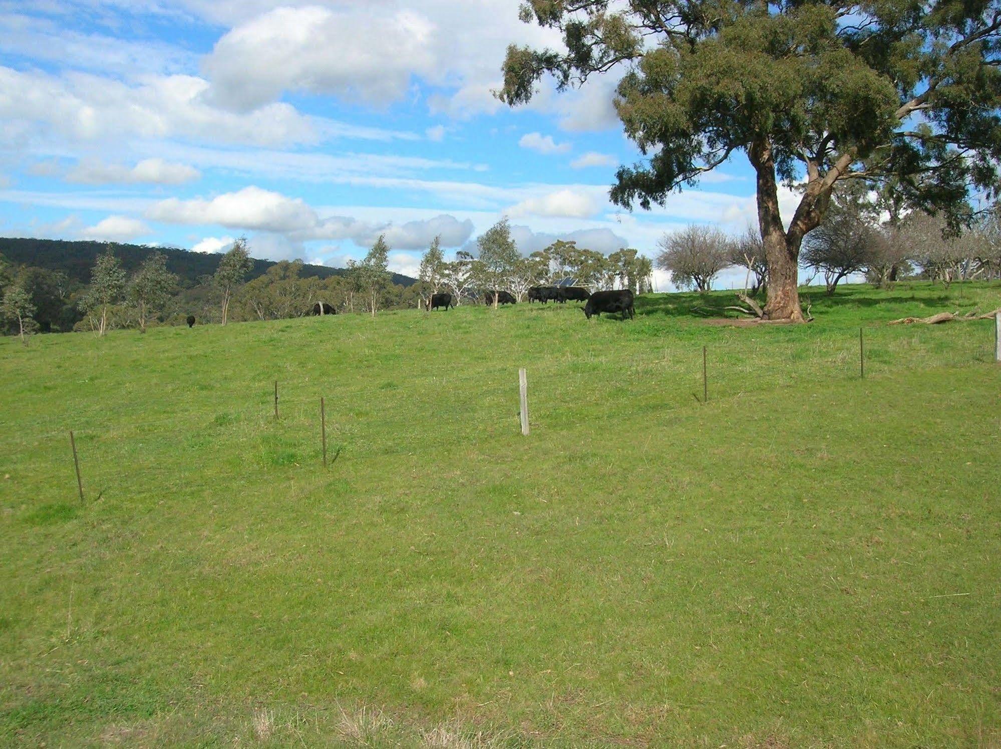 Kinross Metcalfe Farm Villa Exterior photo